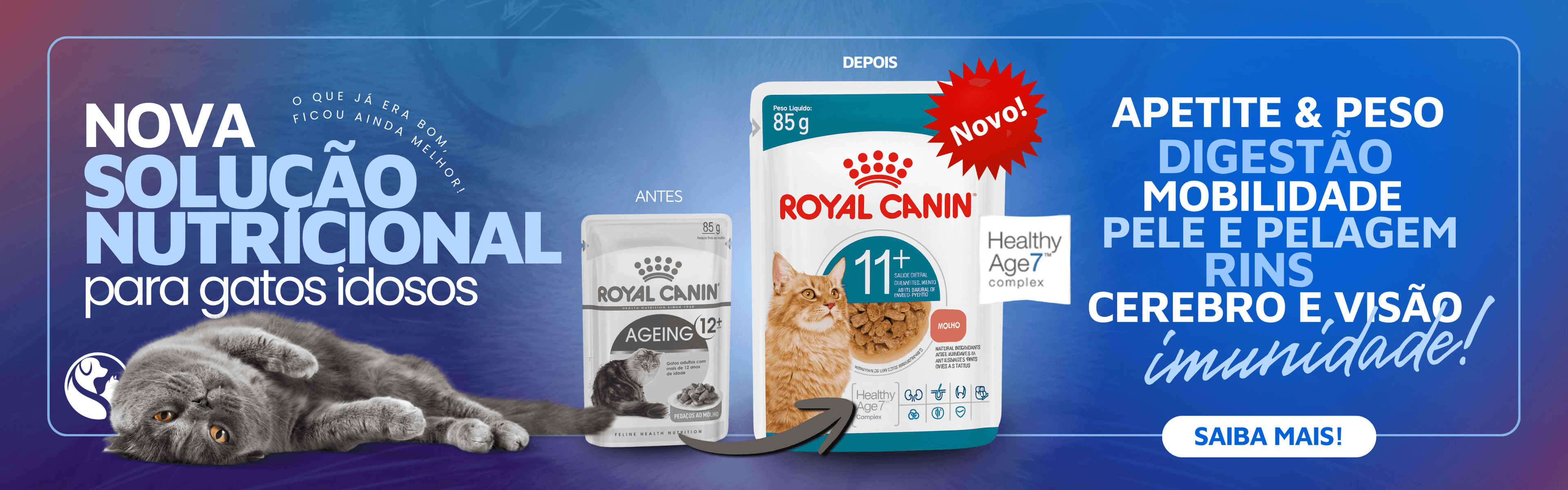 SACHE 11+ROYAL