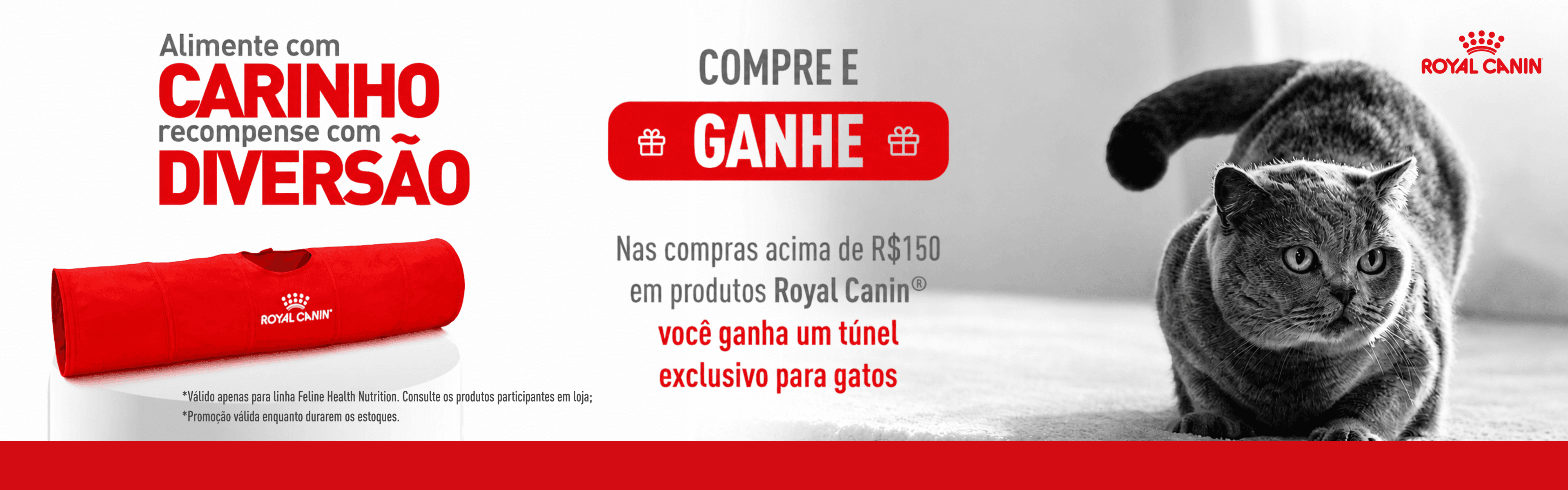 ROYAL CANIN - GATOS